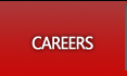 Technicaliya Careers